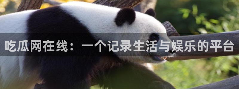 51吃瓜全网更新最快