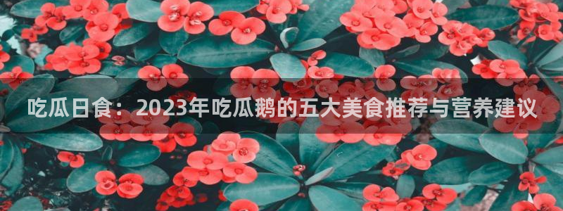 51cgfun每日吃瓜