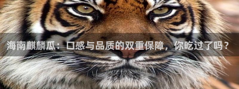 51吃瓜网今日榜单