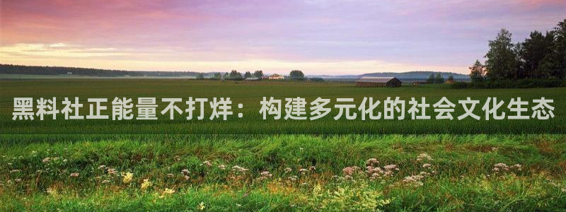 黑料专区：黑料社正能量不打烊：构建多元化的社会文化生态