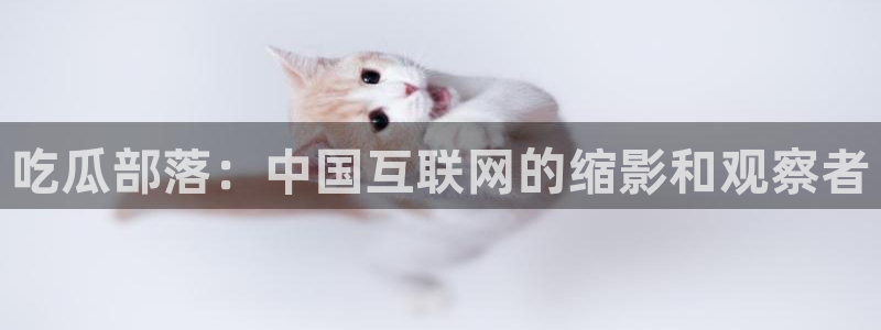 吃瓜小说