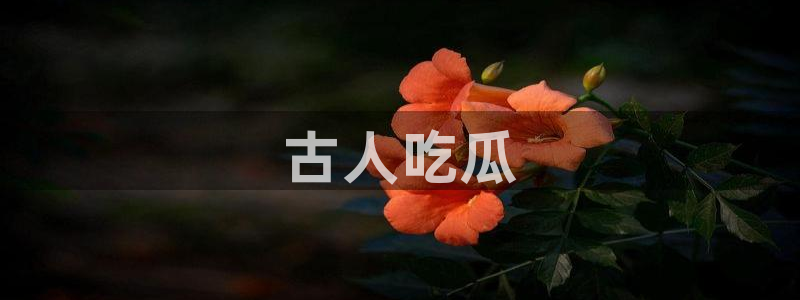 51吃瓜全网最快更新今日热门吃瓜