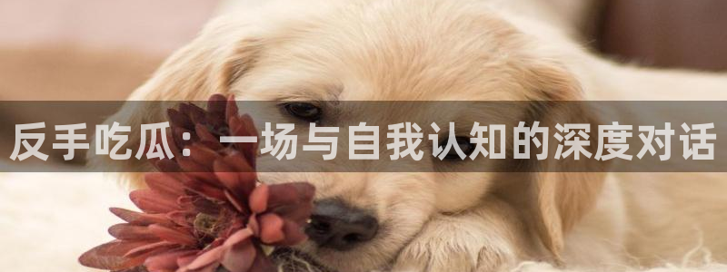 吃瓜今日吃瓜热门大瓜：反手吃瓜：一场与自我认知的深度对话