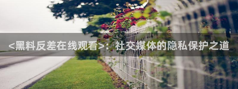 51吃瓜今日吃瓜娜娜：<黑料反差在线观看>：社交媒体的隐私保护之道