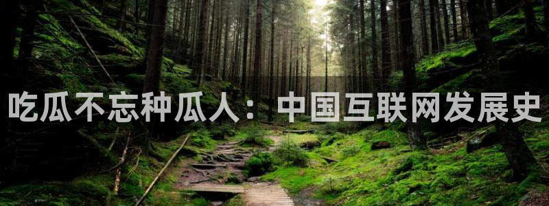 www.黑料.com：吃瓜不忘种瓜人：中国互联网发展史